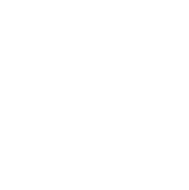 SL Real Estate Group